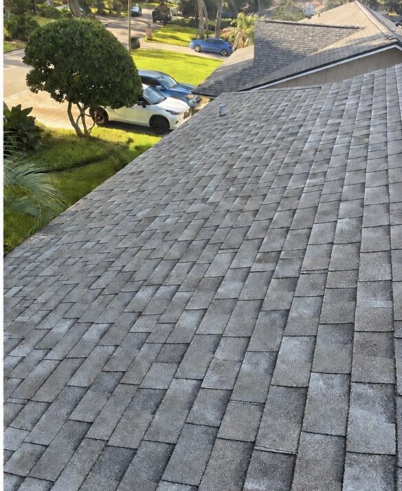 Shingle roof after soft washing in Longwood Florida