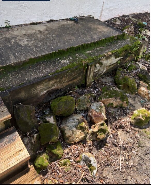 Retaining wall before cleaning in Longwood Florida